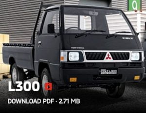 Mitsubishi L300